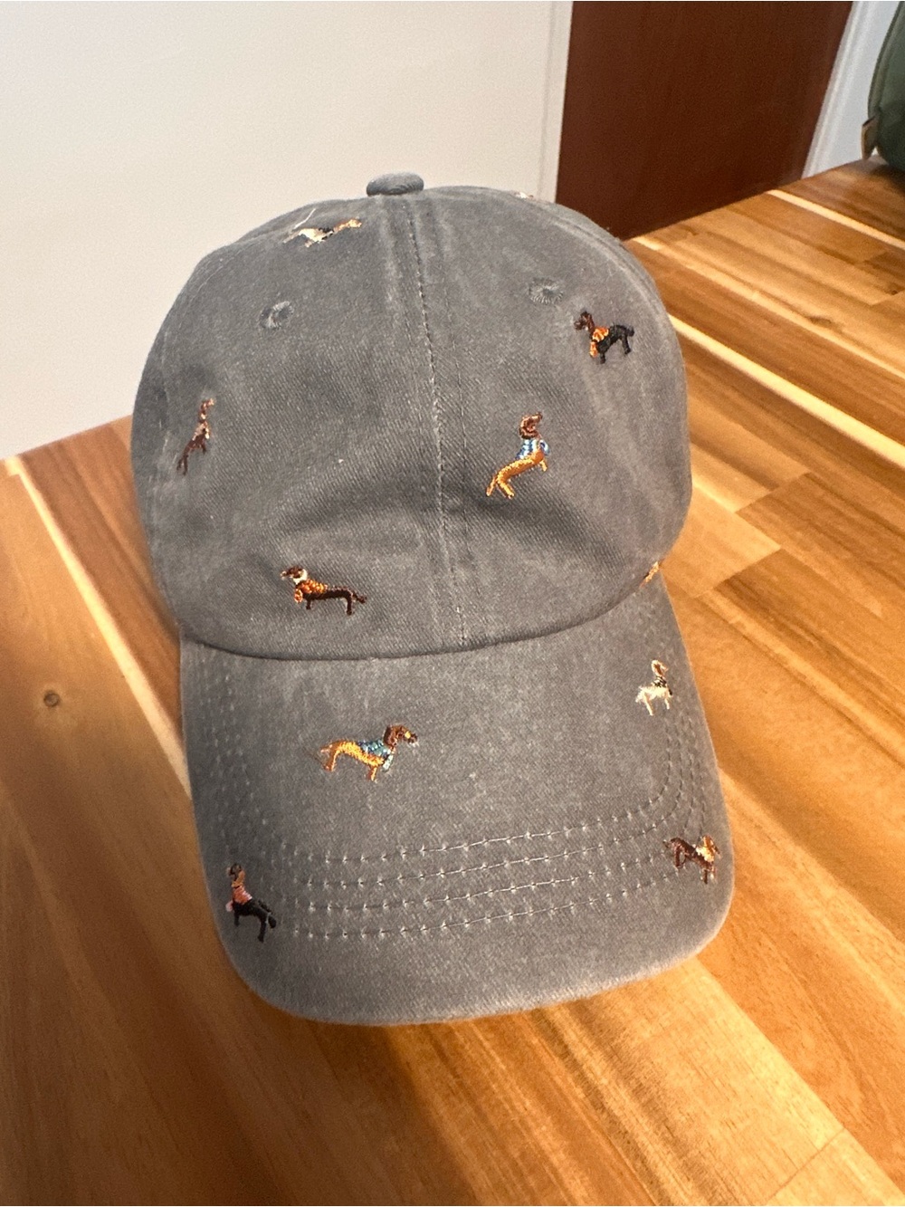 Dachshund hat